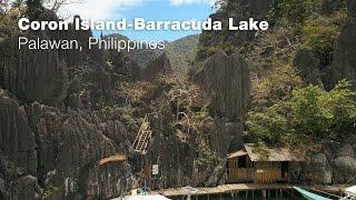 BARRACUDA LAKE by drone - CORON, Palawan, Philippines