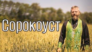 Что Такое Сорокоуст