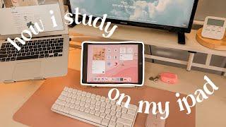 how i study on my ipad as a law student (apps i use + highlighting system) ️ law school diaries