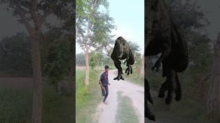 Big Dinosaur chase T-Rex attack part 198 #trending #dinosaur #vfx #youtube #shorts