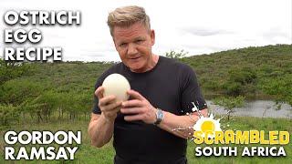 Gordon Ramsay Makes OSTRICH Scrambled Eggs In South Africa | Scrambled