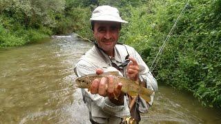 Pesca a mosca sul torrente