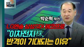 LG엔솔·삼성SDI·에코프로... "이차전지株, 반격이 기대되는 이유" / 박순혁 작가 [오만한 인터뷰] | Market Now (20241011)