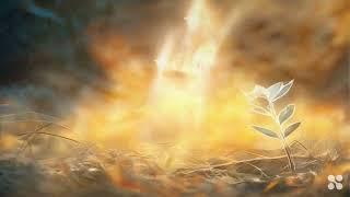 Unveiling Light