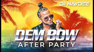 El Alfa, Rochy RD, Chimbala, Bulin 47 | Dembow Mix 2021 - 2020 | After Party By DJ Naydee