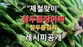 "봄의 신선함을 담은 참두릅, 제철맞이 두릅장아찌 두릅김치 레시피"