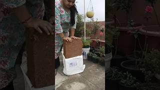 10kg cocopeat #youtubeshorts #viralvideo #shortsvideo #viral #cocopeat