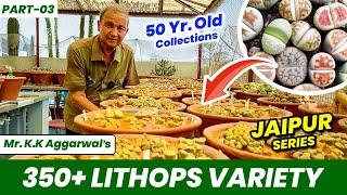 350+ Rare Lithops Variety | K.K Aggarwal जी का 50 साल पुराना लिथोप्स कलेक्शन  