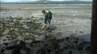 Treasure Hunting America - Episode 107
