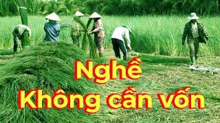 Nghề hot ở nông thôn kiếm tiền triệu mà không cần bỏ vốn