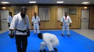 Aikikan Aikido Style