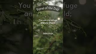 Lord You Are My Refuge and My Shield (Psalm 119:114) #shorts