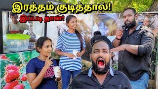 திரும்பி வந்துட்டேன்! யாழில் அதிசய மருத்துவ பானம் | நாகதாளி பழம் Jaffna Juice Bar | Alasteen Rock