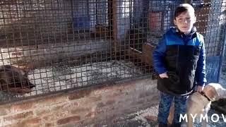 Полезные советы с ТИФФАНИ.
