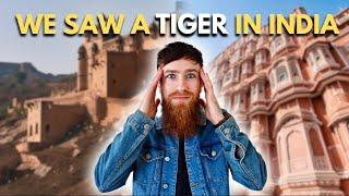 Golden Triangle of INDIA Part 2 | Ranthambore Tiger Safari and Jaipur