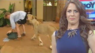 Best Animal News Bloopers Compilation 2022