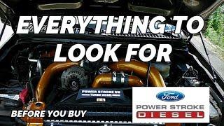 BEFORE you buy a 6.0 Powerstroke WATCH THIS