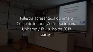 Nymphalidae [parte 1] - INTRODUÇÃO