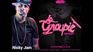 De La Ghetto Ft Ñejo & Otros - La Groupie