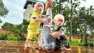 Bibi and lala were surprised and curious to help Dad prepare fish!