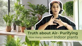 How Many Plants Do You Really Need to purify air   Indoors?