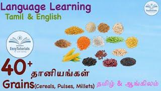 40 cereals pulses and millets| 40 தானியங்கள்: கூளவகைகள், பருப்பு வகைகள், சிறு தானியம்|with animation