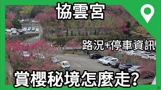 [景點] 苗栗，協雲宮賞櫻，山路路況，停車場簡單介紹  #賞櫻 #櫻花 #協雲宮