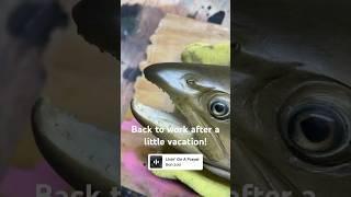 We’re halfway there! #fishart #taxidermy #rainbowtrout