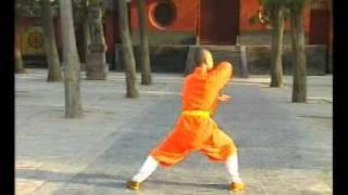 Shaolin DaHong Boxing by Shi De Yang