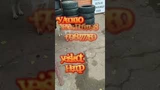 В Ейск на машине: отдых у Азовского моря!