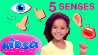 5 Senses - Kids Songs - Kidsa English