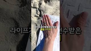라이프가드가 알려준 바닷가 꿀팁 3가지! 여름 필수 정보 총정리