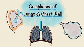 Lung and Chest wall Compliance | Breathing Mechanics | Respiratory Physiology