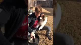 American Ninja Warrior Patrick Lyons Using the Gripedo