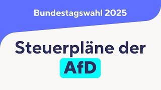 Steuerpläne AfD zur Bundestagswahl 2025 – Was erwartet uns?