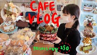 Cafe Vlog | 250 Christmas cake reservations | korean | dessert | cake | Baking | Cake Recipes | asmr