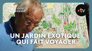Pas de panique / 3 ans après : un jardin exotique luxuriant qui fait voyager - Silence, ça pousse !