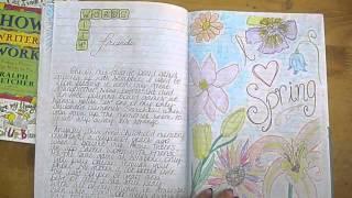My Writer's Notebook