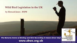 Wild Bird Legislation in the UK