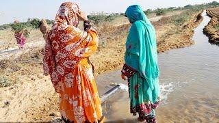 "Where Crops Grow & Craft Thrives: A Village Story" | vlog #balochivlog