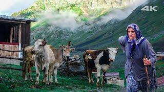 Transhumance Woman in Anzer | Documentary ▫️4K▫️