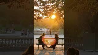 Live from Paris. #shorts #paris #jardinduluxembourg