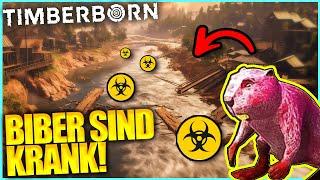 BIBER sind KONTAMINIERT!! | Timberborn (2024)