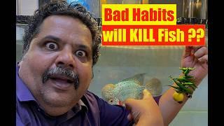 BAD HABITS of Aquarium Fish Keepers | Mayur Dev Aquascaper Superstitions of Fish Keeping 4K