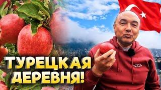 НЕ ПОВЕРИЛИ СВОИМ ГЛАЗАМ! ДЕНЬ В ТУРЕЦКОЙ ДЕРЕВНЕ