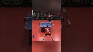 Yang Wang's INSANE Defense Skills: The BEST Table Tennis Point of 2023  #respect #tabletennis #pro