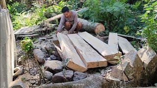 Timber cutting||practice time||Chain saw||measuring with stone