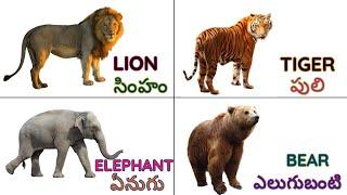 జంతువుల పేర్లు | Wild Animals | Learn Wild Animals names in English and Telugu | Animals for kids