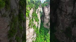 중국장가계 자유여행 #판다투어 #travel #장자제 #장자제
