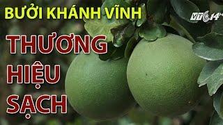 (VTC14)_Xây dựng thương hiệu sạch cho bưởi Khánh Vĩnh